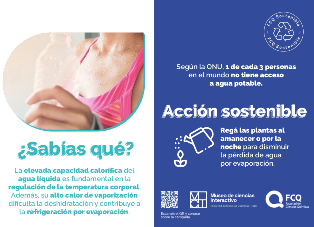 camp-agua01