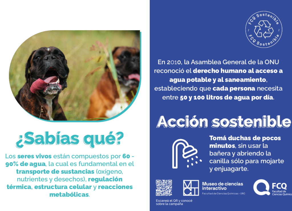 camp-agua02