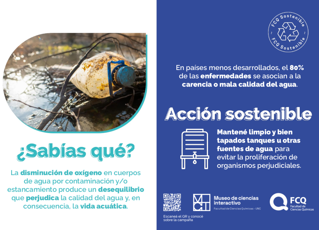 camp-agua03