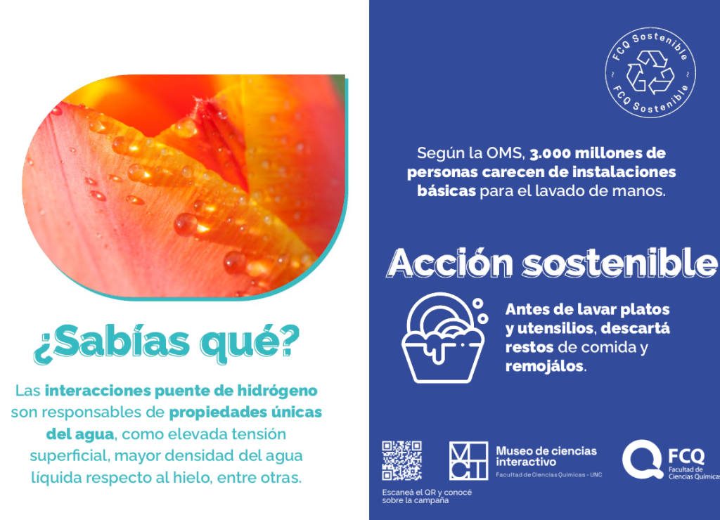 camp-agua07