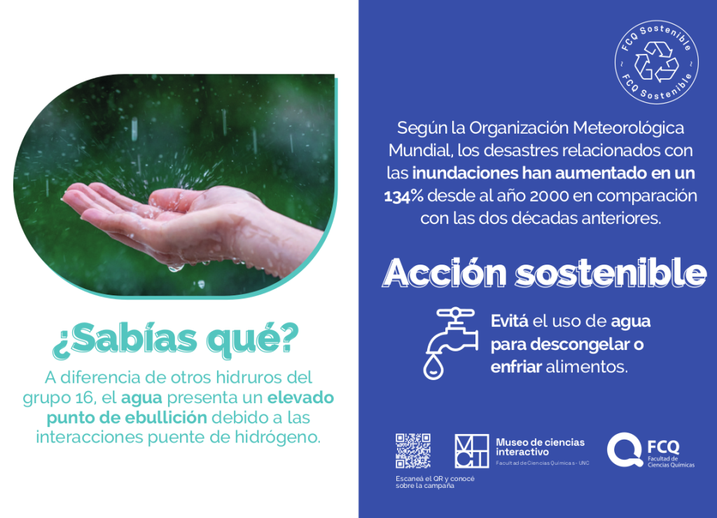 camp-agua12
