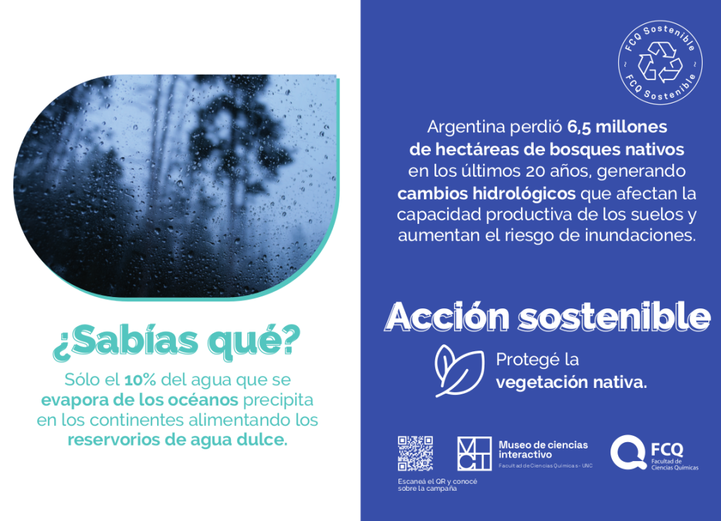 camp-agua14