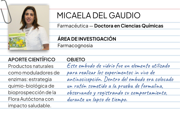 Fichas científicas (13) Fichas científicas (13)