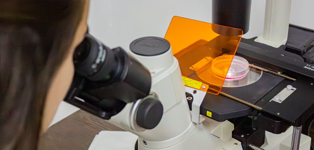 Día Mundial del Alzheimer: El rol de la Química Biológica en la lucha contra el deterioro cerebral